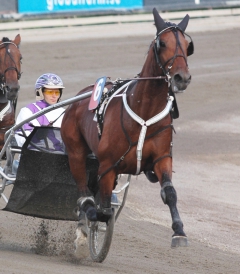 Ugly Duckling kval 160608-12